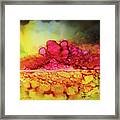 Exciting Colors Framed Print