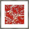 Exposed Roots Abstract #1 Framed Print