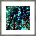 Fairies In The Forest Framed Print