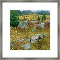 Fall Color Lupine Meadows Grand Tetons Np Wyoming Framed Print