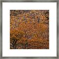 Fall Colors Along North Mountain Framed Print