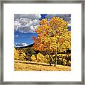 Fall Colors Framed Print