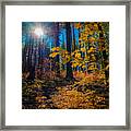 Fall Colors In The Sierrras Framed Print