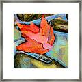 Fall Float Painting Framed Print