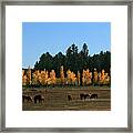 Fall In Line 2 Framed Print