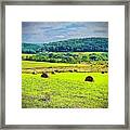 Fall Is In The Air Framed Print