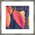 Fall Leaves Framed Print