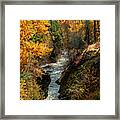 Fall Light Framed Print