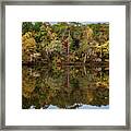 Fall Morning On The Saluda River-3 Framed Print