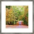 Fall Pathway Framed Print