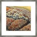 Fall Tapestry Framed Print