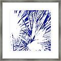 Fan  Palms -  Blue-white Abstract Framed Print