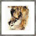 Faruk Framed Print