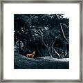 Fawn In A Blue Cypress Wood Framed Print