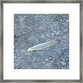 Feather On Ice Framed Print