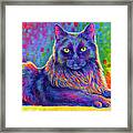 Psychedelic Rainbow Black Cat - Felix Framed Print