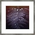 Fern Diamonds Framed Print