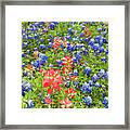 Field Of Bluebonnets And Indian Paintbrush Texas Hill Country Framed Print