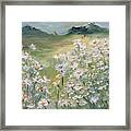 Field Of Daisies Framed Print