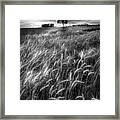 Fields In Early Evening Ii Black And White Framed Print