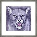 Fierce Cougar Framed Print