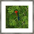 Fig Tree Parrot One Framed Print