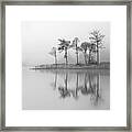 Fine Trees From The Misty Shore Of Loch Ard Framed Print