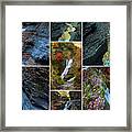 Finger Lakes Gorges Collage Framed Print