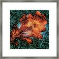 Fire And Ice Framed Print