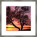 Fire In The Pandemic Sky Framed Print
