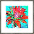 Fire Lily Framed Print