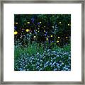 Fireflies And The Night Meadow Framed Print