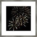 Fireworks3_8690 Framed Print