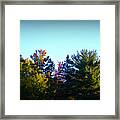 First Signs Of Fall Framed Print