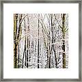 First Snow Framed Print