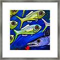 Fish Ball Framed Print