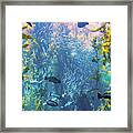 Fish In The Kelp Forest Framed Print