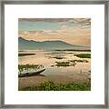 Fisherman On His Way In The Early Morning On Lake Rawapening Framed Print
