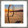 Five Graces Framed Print