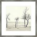 Five Lone Trees - Caseville, Michigan Usa - Framed Print