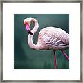 Flamingo Artistry Framed Print