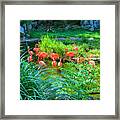 Flamingo Bay Framed Print