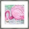 Flamingo In Rippled Water Framed Print
