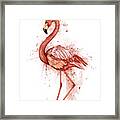 Flamingo Watercolor On White Background, Flamingo Framed Print