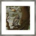 Flemish School  Century An Owl And A Hoopoe And Other Birds In A Tree Framed Print