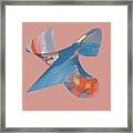 Flight Framed Print