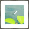 Floating Feather Framed Print