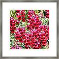 Floral 35 #flower #bold #colorful Framed Print
