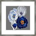 Floral Blue Poppy Artwork Framed Print