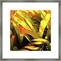 Florida Floral Garden Framed Print